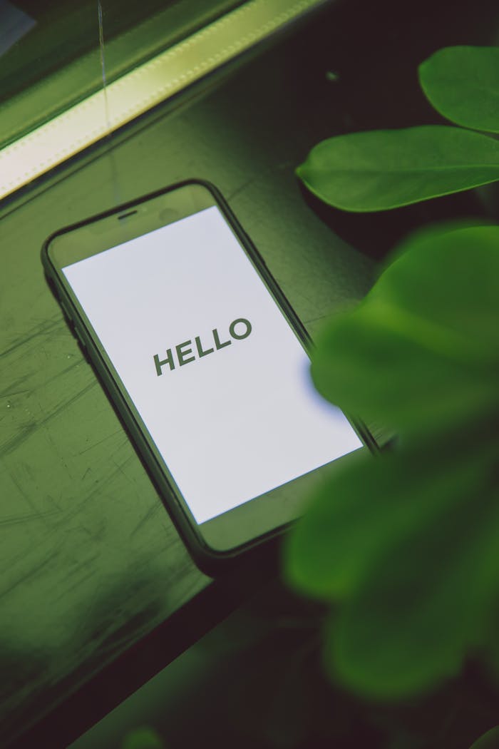 Close-up of a smartphone with Hello text placed on a leafy green surface, emphasizing technology and nature.